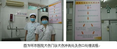 環市醫院犬傷門診正式啟用 拓展社區服務版圖，筑牢公共衛生防線